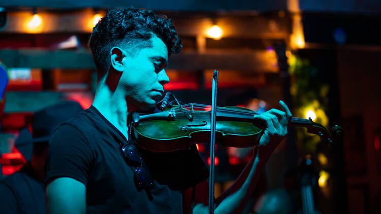 VIBRATION: The Live Music Odyssey