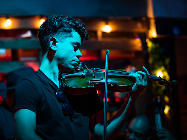 VIBRATION: The Live Music Odyssey