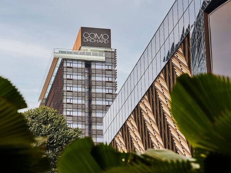 COMO Metropolitan Singapore โรงแรมใจกลางสิงคโปร์ที่อยากให้ผู้เข้าพักมีคุณภาพชีวิตที่ดี COMO Metropolitan Singapore โรงแรมใจกลางสิงคโปร์ที่อยากให้ผู้เข้าพักมีคุณภาพชีวิตที่ดี