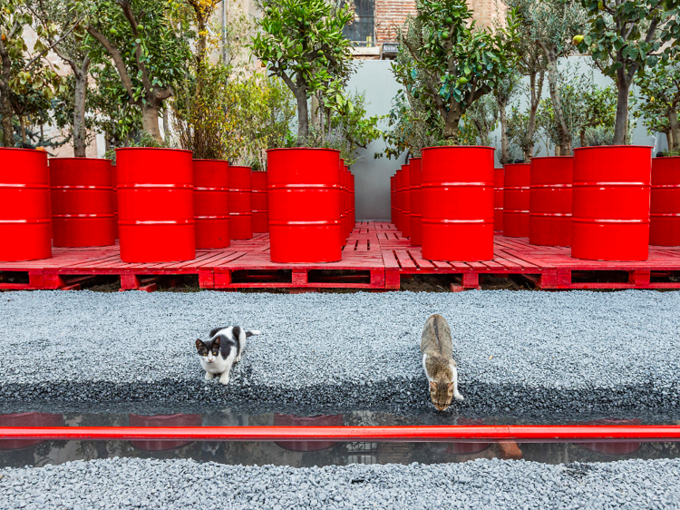 5 maddede İstanbul Bienali