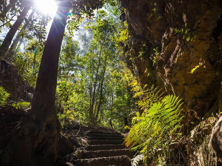 NSW’s most popular hike is this stunning 6km trail with waterfalls, lush ferns and breathtaking views