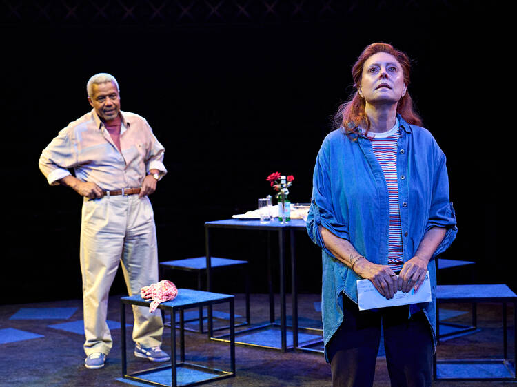 See Susan Sarandon and Andrea Riseborough in ‘Mary Page Marlowe’