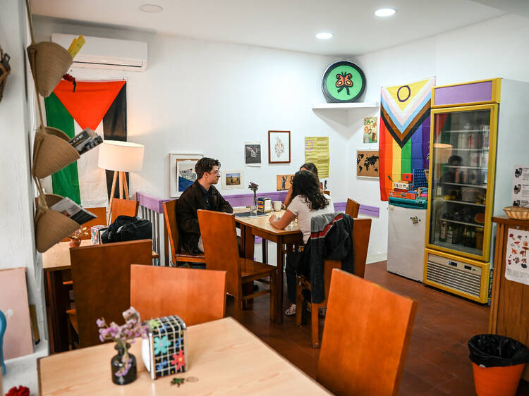 Em Alvalade, há um Casulo de encontro, cultura e resistência