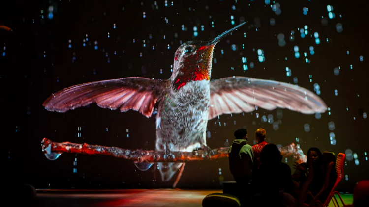 Meravellar-te amb l'exposició immersiva 'Som natura'