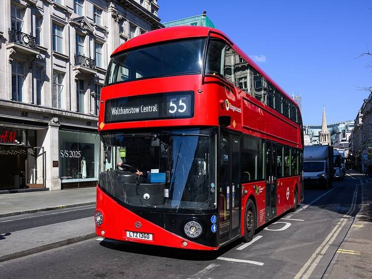 Which London bus routes are ‘infested’ with cockroaches?
