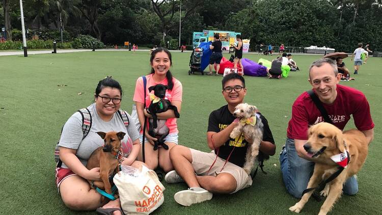Adopt (don’t shop) adorable pups at SOSD’s Adoption Drive