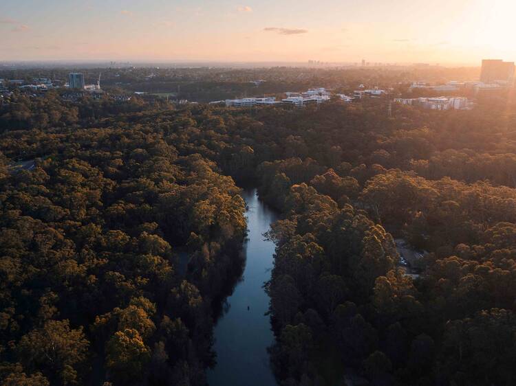 This leafy Sydney suburb has been named Australia’s most liveable neighbourhood