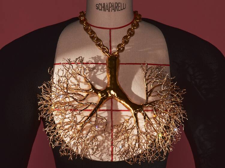 Schiaparelli: Fashion Becomes Art