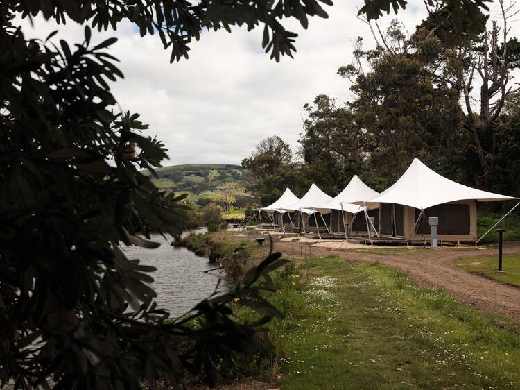 A luxe new riverside glamping experience has just opened in Apollo Bay