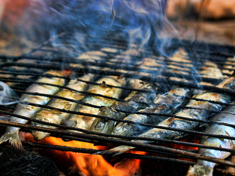 El bar El Pollo de Barcelona organitza una sardinada solidària amb el poble palestí aquest dissabte 18 d’octubre El bar El Pollo de Barcelona organitza una sardinada solidària amb el poble palestí aquest dissabte 18 d’octubre