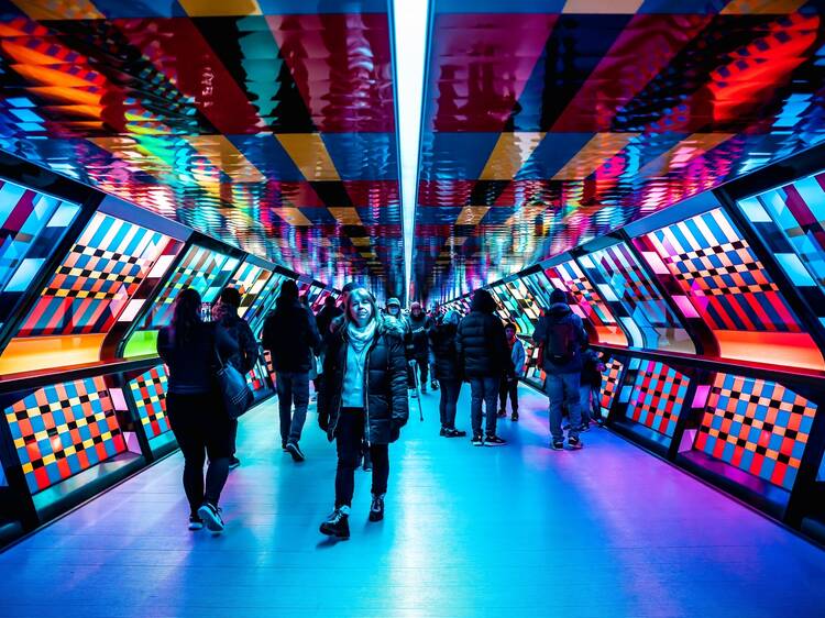When Canary Wharf’s spectacular Winter Lights festival will return in 2026 When Canary Wharf’s spectacular Winter Lights festival will return in 2026
