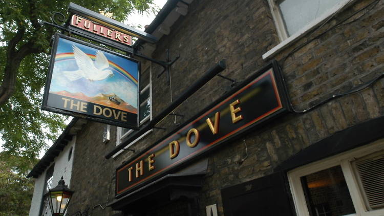 The Dove