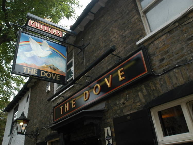 The Dove