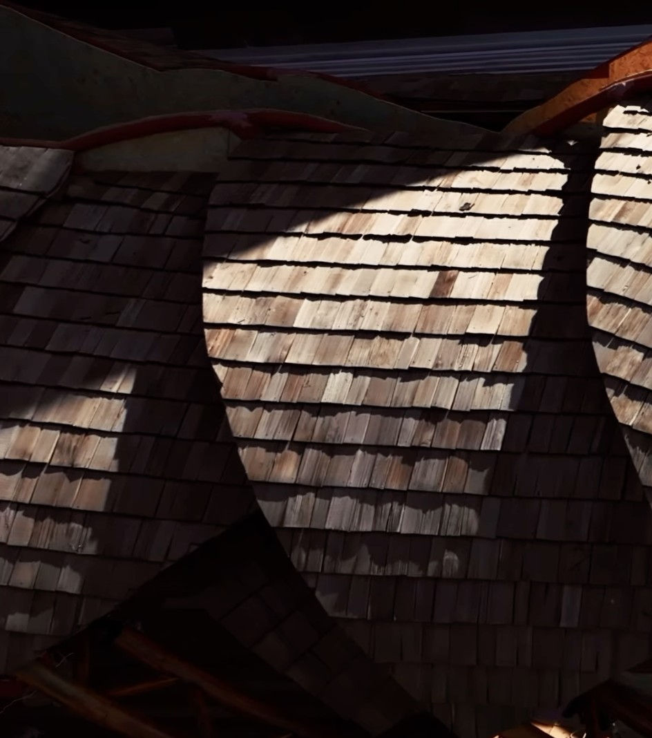 roof.jpg