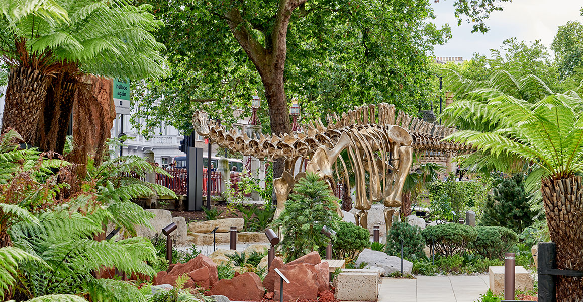 A photograph of Fern the bronze diplodocus cast, in our gardens