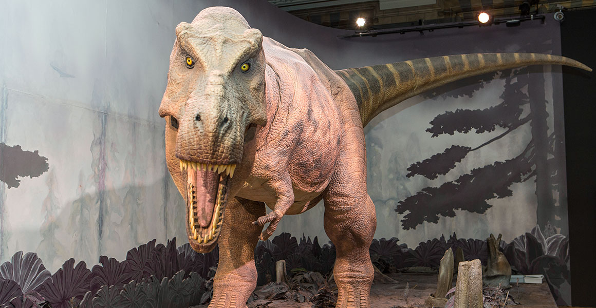 A photo of the animatronic T-rex in the Dinosaurs gallery